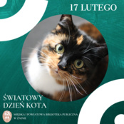 Zbiórka na rzecz kotów wolno żyjących 