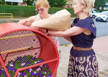 Po raz kolejny Biblioteka włącza się w akcję charytatywną