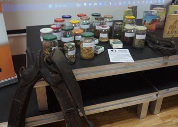 ZaKOŃtek w bibliotece - wakacyjne zajęcia dla dzieci