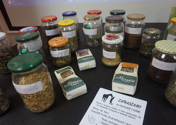 ZaKOŃtek w bibliotece - wakacyjne zajęcia dla dzieci