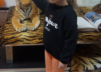 Wystawa gadżetów lotniczych Stasia Sopińskiego